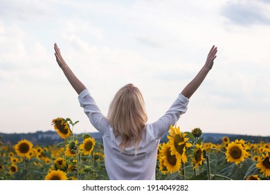 Happy adult blonde girl in a white shirt in the middle of a field of yellow sunflowers. Young woman with hands raised up