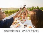 Happy adult friends having fun drinking red wine and eating together with vineyard in background - Multiracial people doing appetizer at summer time in countryside resort - Main focus on hands