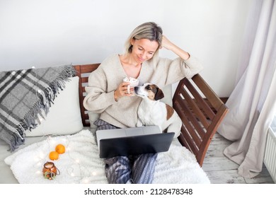 Happy adult lady streaming online content on laptop sitting on the sofa at cozy home, woman sitting on couch 
