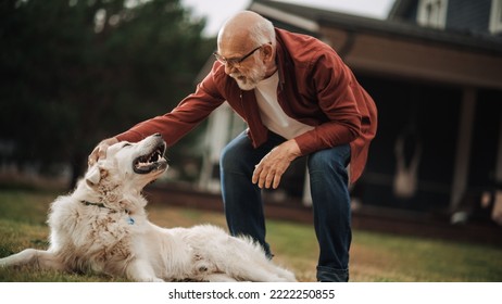 Happy Adult Man Enjoying Time Outdoors with a White Golden Retriever, Petting a Playful Energetic Pet Dog. Joyful Senior Male Spending Time with a Pet on a Lawn in Front of the House. - Powered by Shutterstock