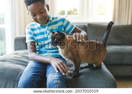 Happy african american boy sitting on couch and petting his cat in sunny living room. spending time alone at home.