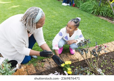 Happy african american grandmother and granddaughter taking care of plants in sunny garden. Family, togetherness, nature, gardening and lifestyle, unaltered. - Powered by Shutterstock