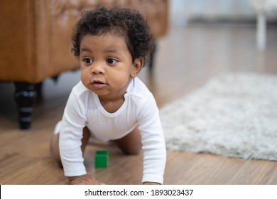 Happy African American Little Baby Boy Crawling And Looking For Something To Learn