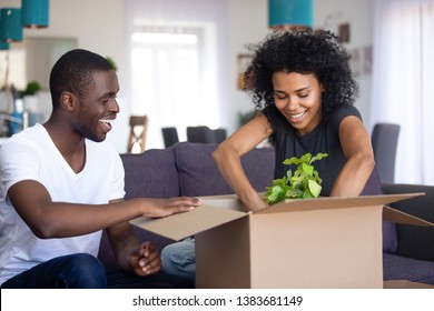 Happy African American Millennial Couple Unpack Personal Belongings Moving In Together, Young Black Man And Woman Settle In New Home, Unboxing Packages, Decorate House With Plants. Relocation Concept