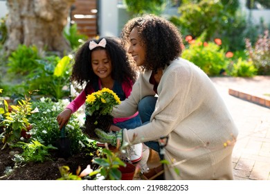 Happy african american mother and daughter planting flowers. family time, having fun together at home and garden. - Powered by Shutterstock