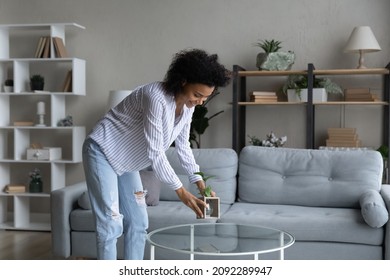 Happy African American woman taking care about green house plant in cozy modern living room at home, smiling young female satisfied tenant homeowner decorating own apartment, interior design concept