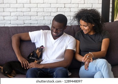 Happy African American Young Couple Play With Dog Spending Time Together In Living Room, Black Husband And Wife Having Fun Caressing Dachshund Sitting On Couch, Family Enjoy Leisure At Home With Pet