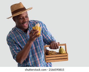 Happy African farmer holding cacao pod and small wooden basket with cacap fruits on white background. Cacao fruits is used as raw ingredient making cocoa or chocolate. - Shutterstock ID 2166590815