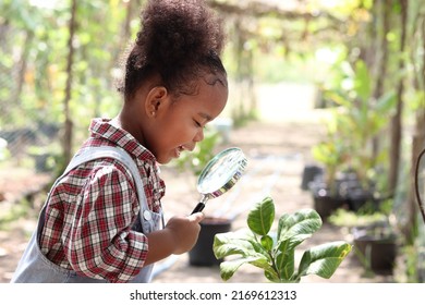 Happy African Girl With Black Curly Hair Holding Magnifying Glass For Exploring Garden Form, Kid Observes Nature With Magnifying Glasses, Child Education Of Nature And Plant Growing Learning Activity