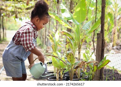 Happy African girl with black curly hair watering plant, gardener kid working in agriculture or farming, young farmer working in garden, child education of nature and plant growing learning activity. - Powered by Shutterstock