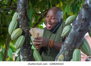 A Happy African Male Farmer, Trader, Entrepreneur Or Businessman From Nigeria, Holding Multiple Nigerian Naira Cash Notes In His Hands As He Stay Close To A Cocoa Tree In A Farm