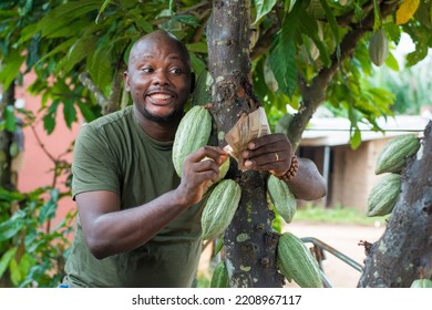 Happy African Male Farmer Trader Entrepreneur Stock Photo 2208967117 ...