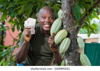 A Happy African Male Farmer, Trader, Entrepreneur Or Businessman From Nigeria, Holding Multiple Naira Cash Notes In His Hands As He Holds A Cocoa Fruit On A Tree In A Farm