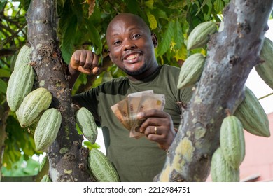 A Happy African Male Farmer, Trader, Entrepreneur Or Businessman From Nigeria, Holding Multiple Nigerian Naira Cash Notes In His Hands As He Stay Close To A Cocoa Tree In A Farm