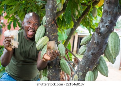 A Happy African Male Farmer, Trader, Entrepreneur Or Businessman From Nigeria, Holding Multiple Nigerian Naira Cash Notes In His Hands As He Stay Close To A Cocoa Tree In A Farm