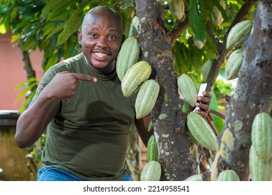 A Happy African Male Farmer, Trader, Entrepreneur Or Businessman From Nigeria, Pointing To The Cocoa Fruits On The Tree In A Farm