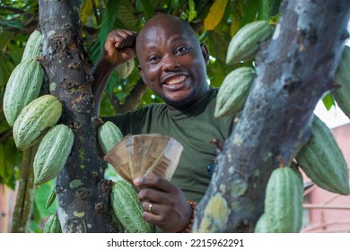 A Happy African Male Farmer, Trader, Entrepreneur Or Businessman From Nigeria, Holding Multiple Nigerian Naira Cash Notes In His Hands As He Stay Close To A Cocoa Tree In A Farm