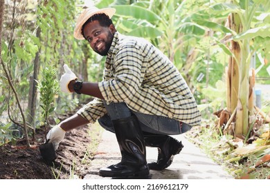 Happy African Man With Black Beard Holding Shovel Tool In Agricultural Field, Smiling Farmer Prepares For Planting, Gardener Working In Agriculture Or Farming, Cultivating Plants Cultivation Concept