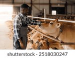 Happy African man farmer worker takes care of cow as sign of concern for animal health care. Concept farm agriculture cattle livestock farming industry.