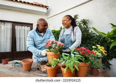 Happy African senior people gardening together at home