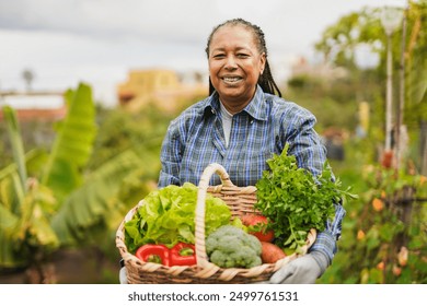 Happy african senior woman smiling on camera while holding basket with fresh vegetables from house garden - Harvesting and agriculture concept - Focus on face - Powered by Shutterstock