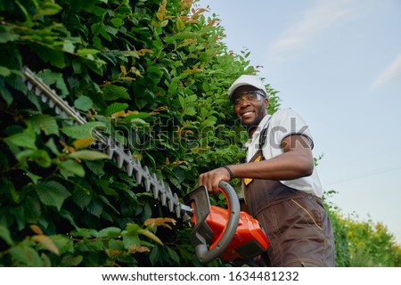 Similar – Image, Stock Photo Hedge pruned Worker air