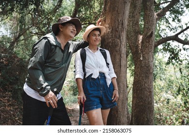 Happy Asian Adult Couple Trekking In The Wood	