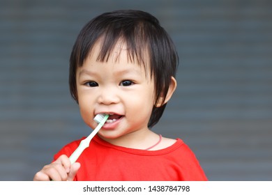 healthy snouts toothbrush