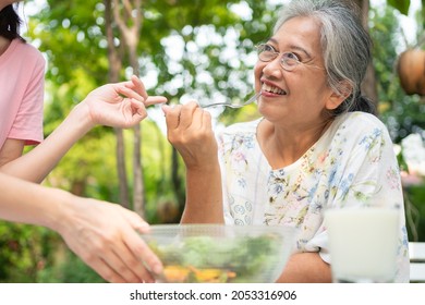 Happy Asian Daughter Have Lunch Whit Her Family And Feeding Salad To Mother In Backyard.