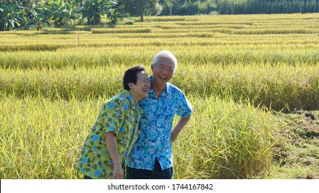 Happy Asian Elderly Farmer Business Owner Modern Technology Help On Agricultural Work