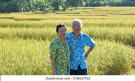 Happy Asian Elderly Farmer Business Owner Modern Technology Help On Agricultural Work