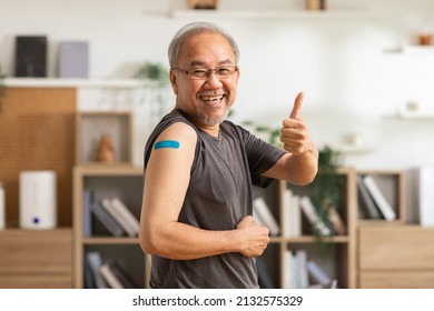 Happy Asian Elderly Man Received Anti Virus Vaccine Cheerful Thumbs Up With Bandage,Senior Handsome Enjoying And Confident With Future Safety Life After Got COVID-19 Vaccination,vaccination Concept