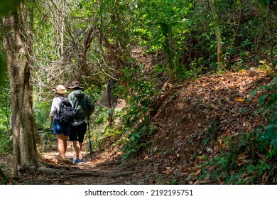 Happy Asian Family Couple On Summer Holiday Vacation. Mature Adult Couple Hiking Together In Forest. Man And Woman Enjoy Outdoor Lifestyle Trekking And Looking To Green Wood On Summer Travel Vacation.