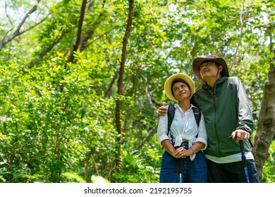 Happy Asian Family Couple On Summer Holiday Vacation. Mature Adult Couple Hiking Together In Forest. Man And Woman Enjoy Outdoor Lifestyle Trekking And Looking To Green Wood On Summer Travel Vacation.