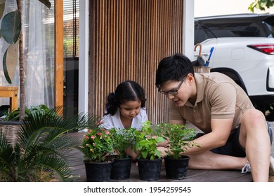 Happy Asian Family Relaxing At Home. Smiling Father Caring And Growing Plants With Little Daughter At Home Front Yard In The Morning. Dad With Cute Child Girl Kid Having Fun Weekend Activity Together.