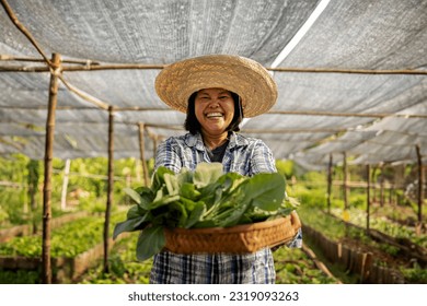 Happy Asian farmer harvesting fresh organic vegetable in local farm at countryside. - Powered by Shutterstock