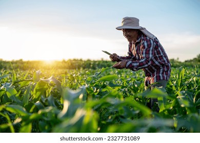 Happy asian farmer is using a tablet to check the quality leaves in Green corn field in agricultural garden. - Shutterstock ID 2327731089