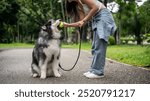 A happy Asian female dog owner is giving a tennis ball to her dog, training it to obey while enjoying a fun time together in a green park. dog walker, dog trainer, best friend