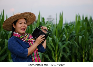 Happy Asian Female Farmer Listening Songs , News From FM,AM Radio Receiver At Maize Garden. Concept : Happy Working Along With Music. Country Lifestyle. Local Gardens And Community Plants. Relax Time.