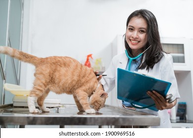 Happy Asian Female Veterinarian Examining A Cat In Clinic