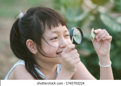 Happy Asian Little Child Girl Looking Through A Magnifying Glass On Green Leaf Tree In The Park