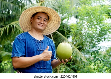  Happy Asian man gardener holds organic coconut fruit at his garden . Concept : Agriculture crop in Thailand. Thai farmers grow coconuts " Ma-Prow-Nam-Hom" to sell . Summer fruits.    - Shutterstock ID 2204624809