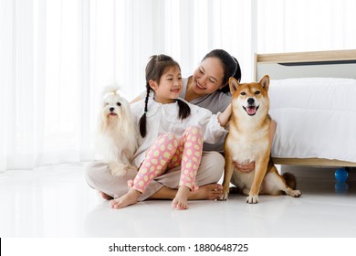 Happy Asian Mother And Daughter Sitting On Bedroom Floor With Maltese And Shiba Inu.