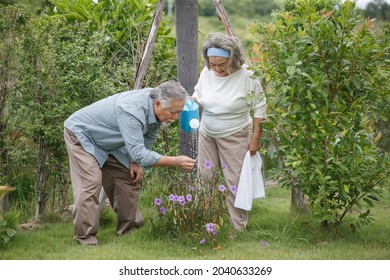 Happy Asian Old Couple Watering The Plants  In The Front Lawn At Home. Senior Man And Elder Woman Spend Time Together In Backyard . Mature Husband And Wife Lifestyle In Garden
