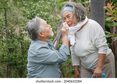 Happy Asian Old Couple Watering The Plants  In The Front Lawn At Home. Senior Man And Elder Woman Spend Time Together In Backyard . Mature Husband And Wife Lifestyle In Garden
