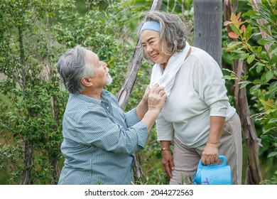 Happy Asian Old Couple Watering The Plants  In The Front Lawn At Home. Senior Man And Elder Woman Spend Time Together In Backyard . Mature Husband And Wife Lifestyle In Garden
