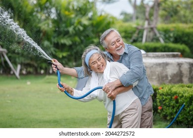 Happy Asian Old Couple Watering The Plants  In The Front Lawn At Home. Senior Man And Elder Woman Spend Time Together In Backyard . Mature Husband And Wife Lifestyle In Garden
