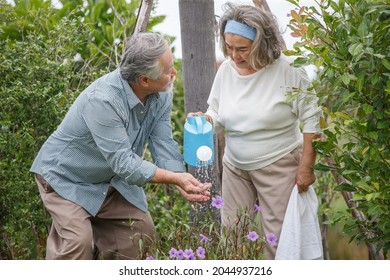 Happy Asian Old Couple Watering The Plants  In The Front Lawn At Home. Senior Man And Elder Woman Spend Time Together In Backyard . Mature Husband And Wife Lifestyle In Garden
