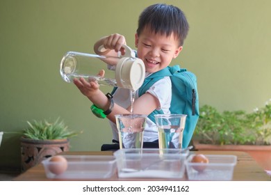 Happy Asian School Kid Studying Science, Pouring Water To Do Fun And Easy Floating Egg Science Experiment To Learn About The Density Of Salt Water Effect To Floating And Sinking Of The Eggs