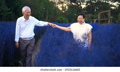 Happy Asian Senior Couple Happy Winter Blue Flower Field Magic Moment